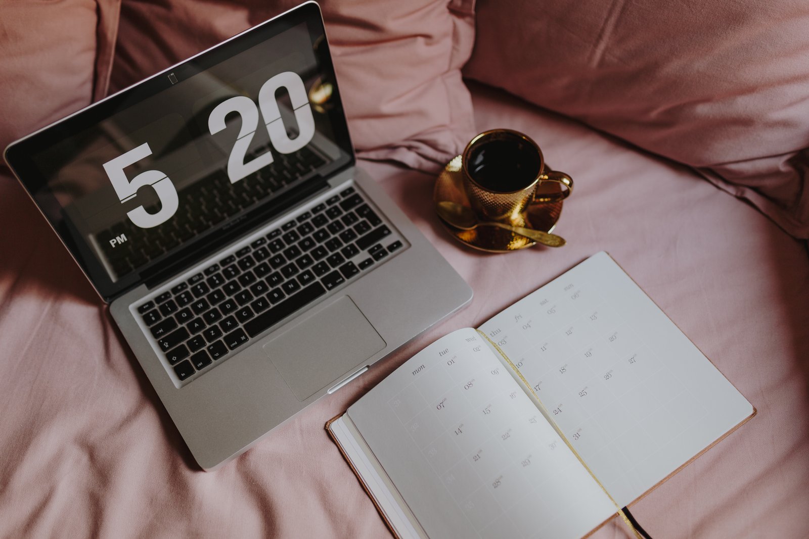 Consultas Ertzaintza